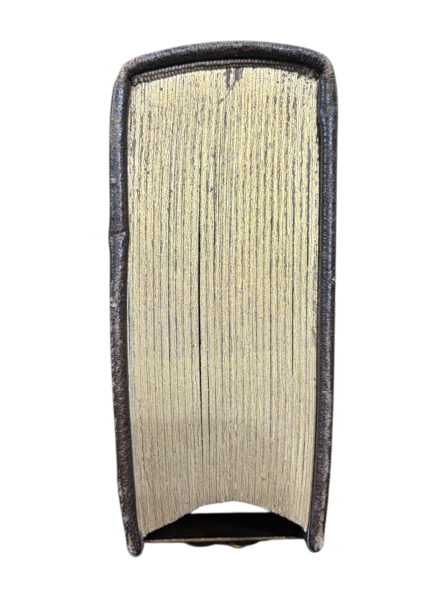 Antique Photo Album with Gold Closures Photos 6” tall