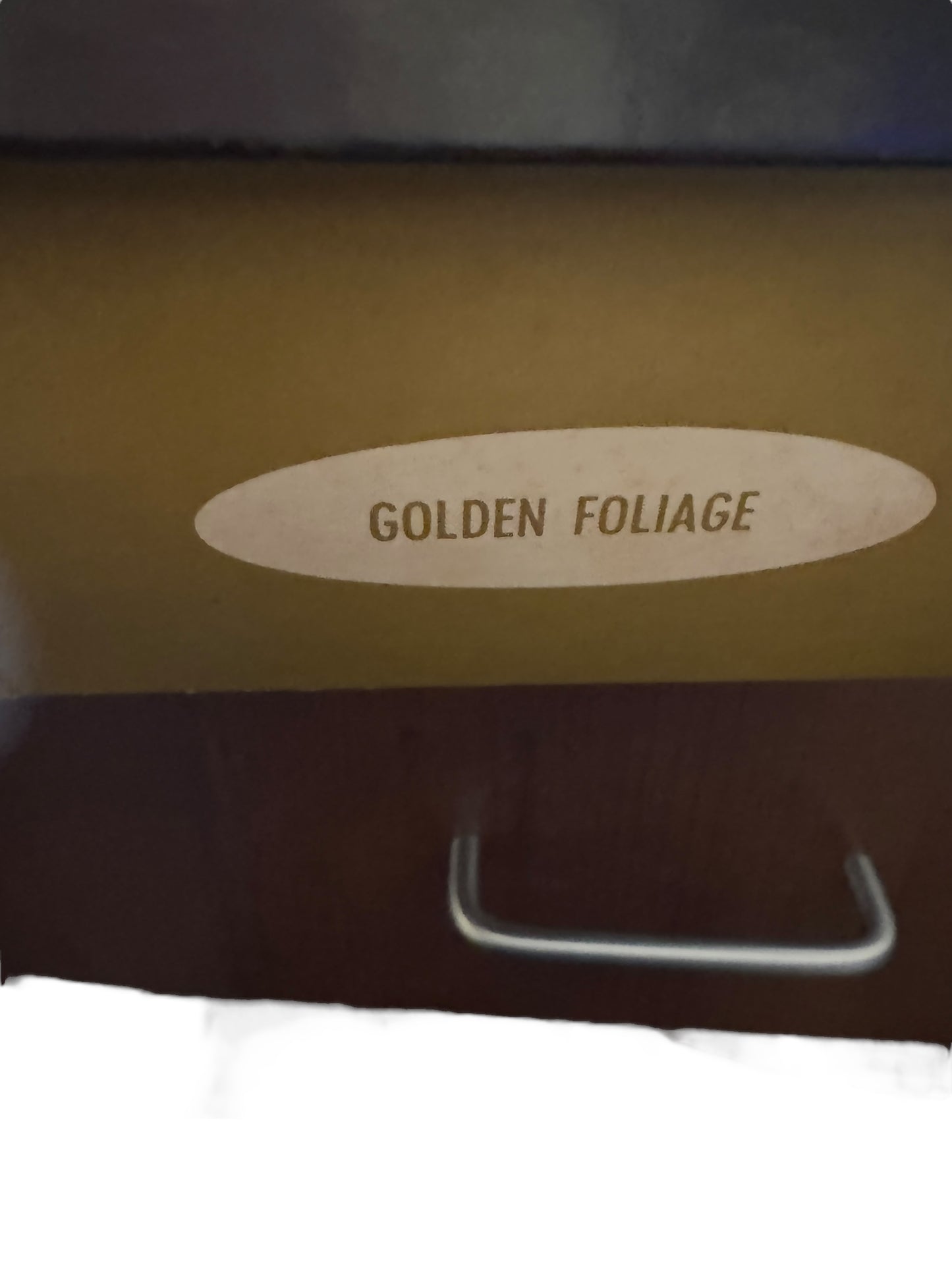 Vintage Libbey Golden Leaf 12oz Footed Pilsner Glass Set of 6 NEW IN BOX