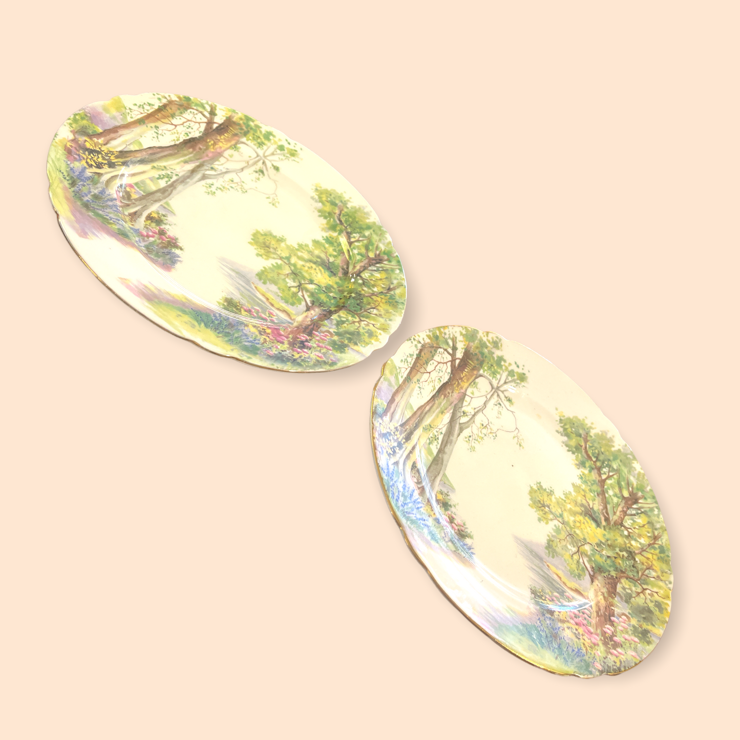 Shelley "Woodland" 13348 8 Inch Luncheon Plate Nature Fine Bone China England