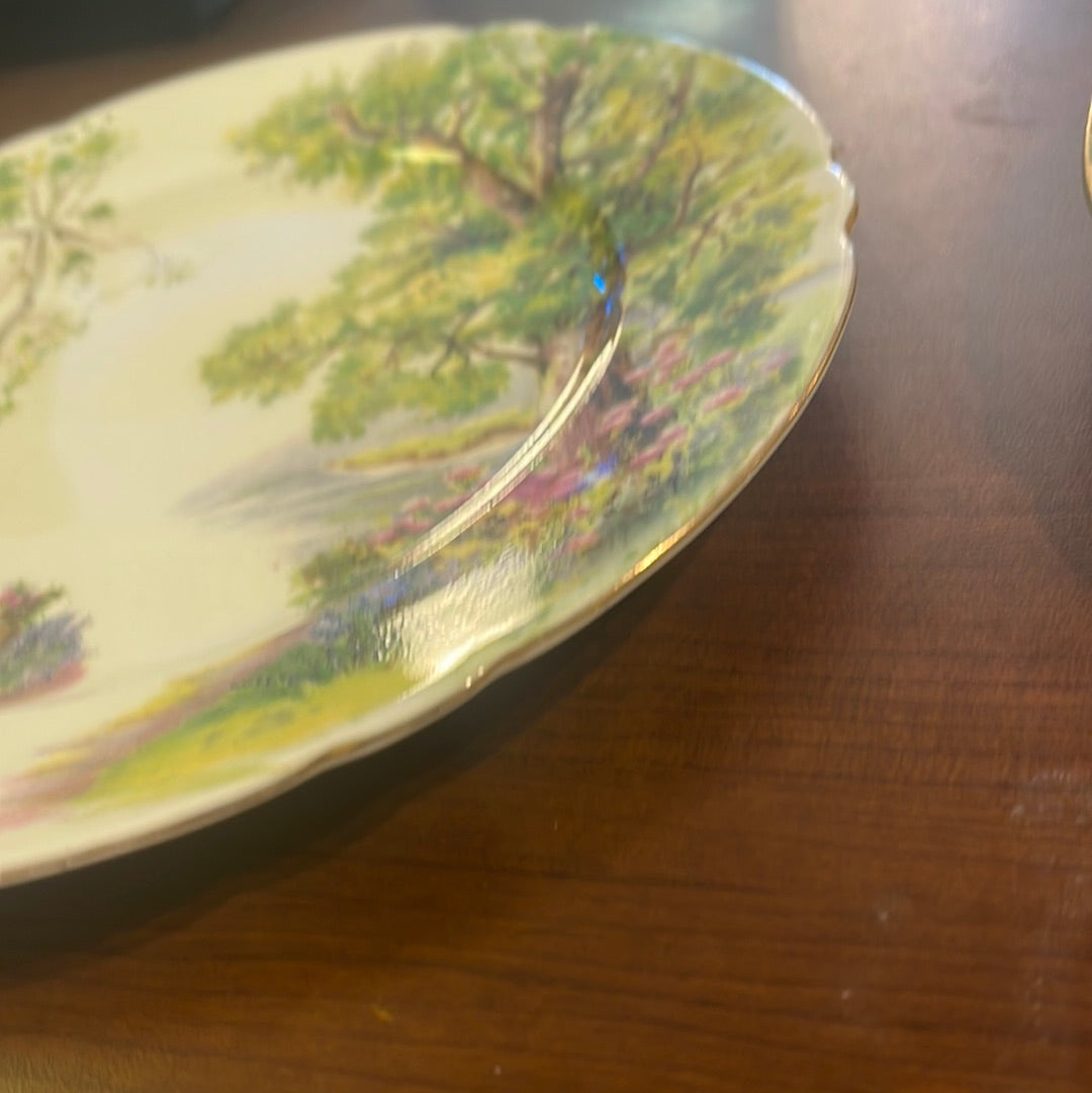 Shelley "Woodland" 13348 8 Inch Luncheon Plate Nature Fine Bone China England