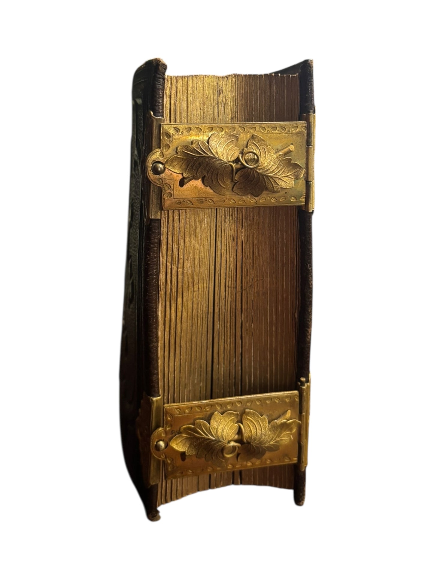 Antique Photo Album with Gold Closures Photos 6” tall