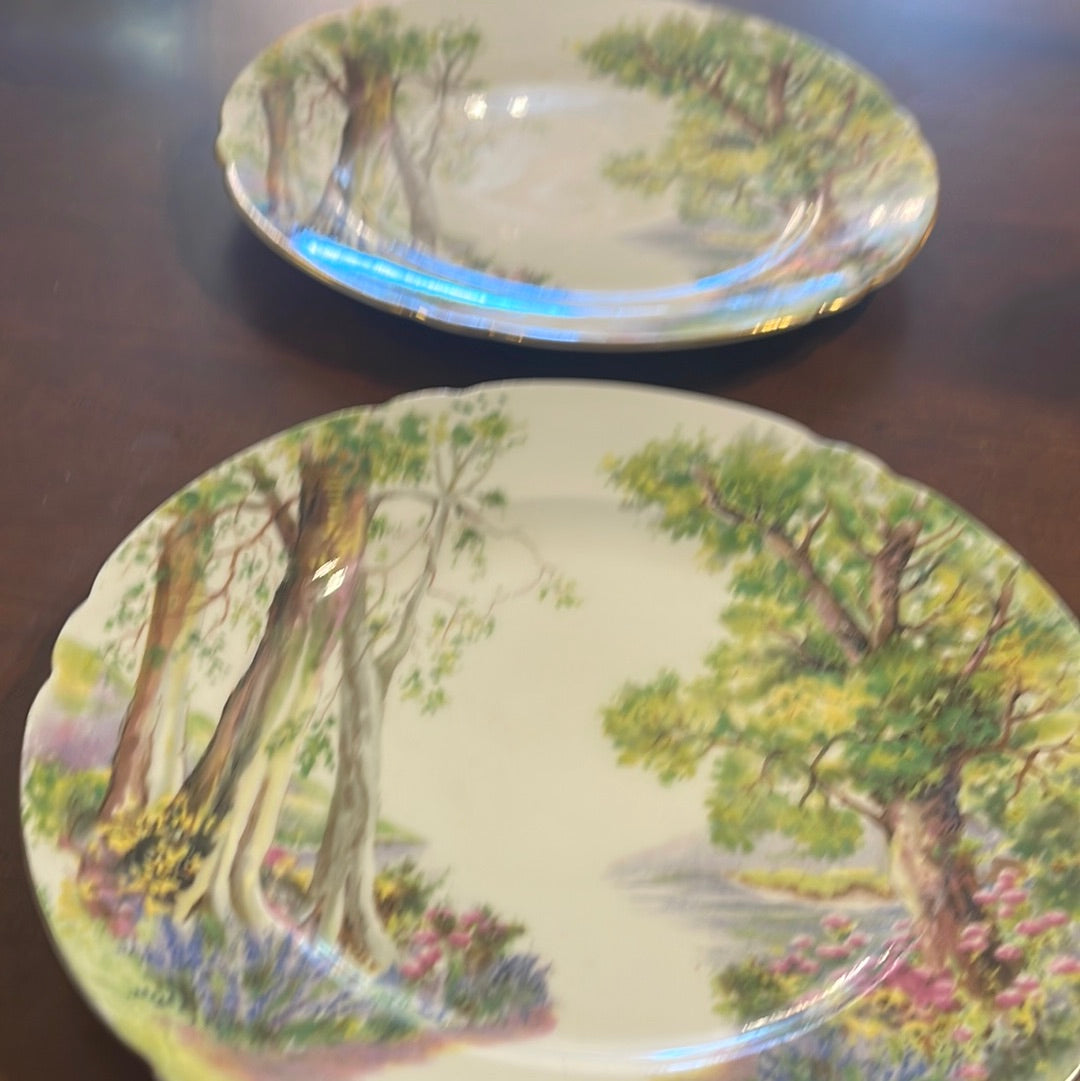 Shelley "Woodland" 13348 8 Inch Luncheon Plate Nature Fine Bone China England