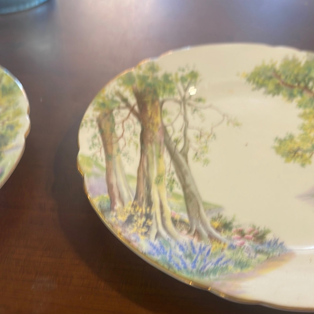 Shelley "Woodland" 13348 8 Inch Luncheon Plate Nature Fine Bone China England