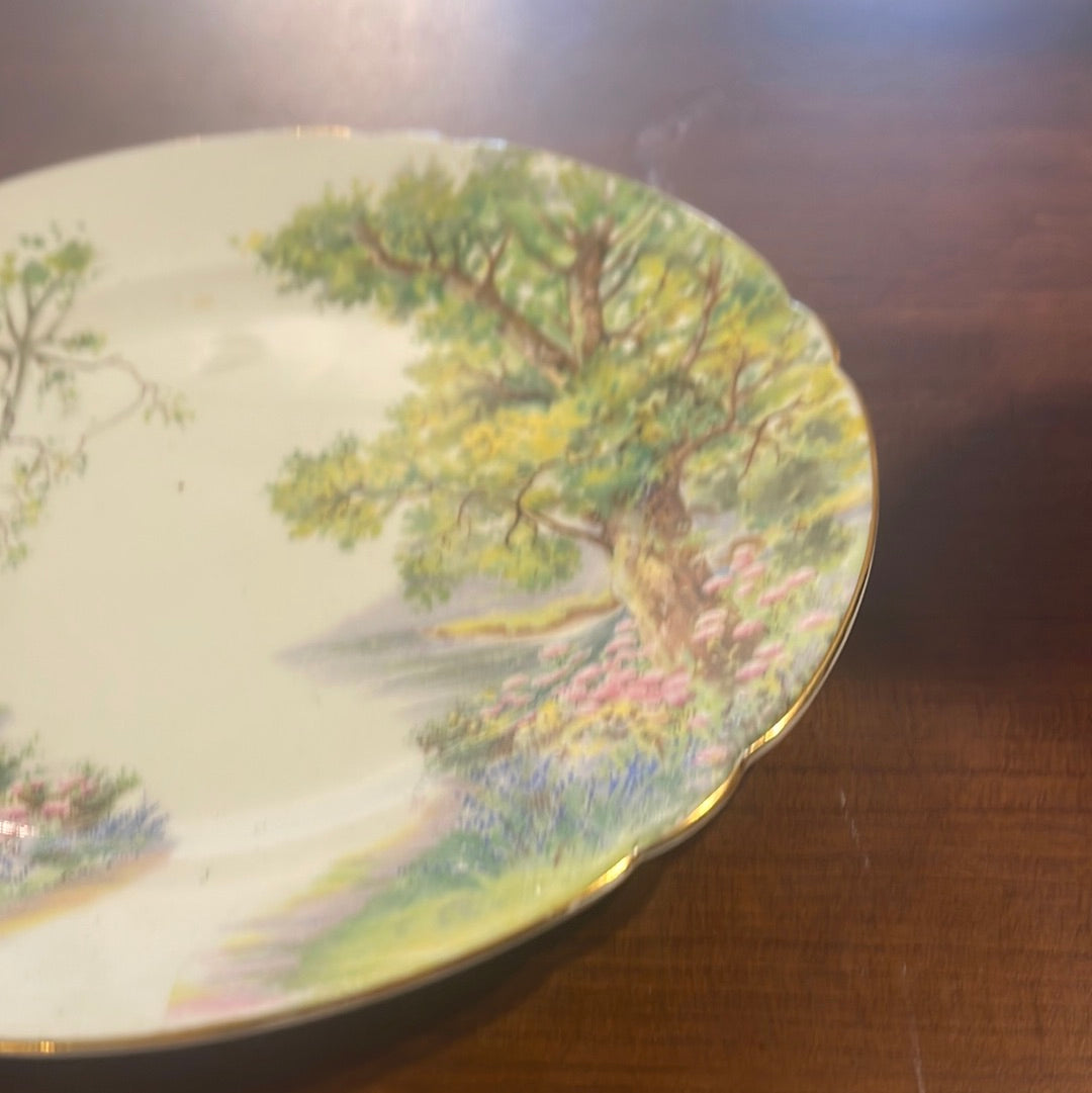 Shelley "Woodland" 13348 8 Inch Luncheon Plate Nature Fine Bone China England