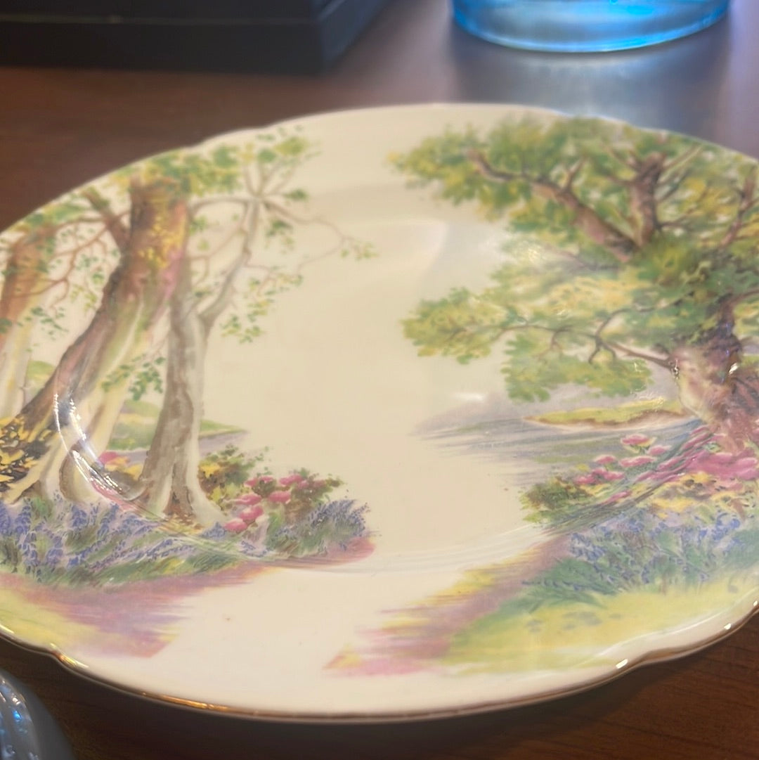 Shelley "Woodland" 13348 8 Inch Luncheon Plate Nature Fine Bone China England